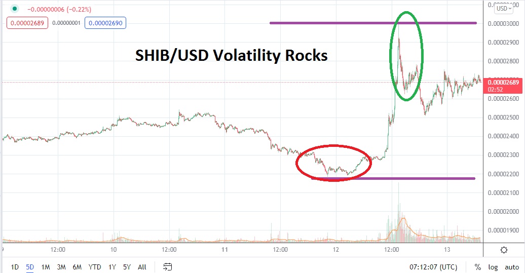 Shiba Inu 13042022 Shiba Inu 13042022